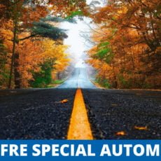 30 % rabais offre spécial automne